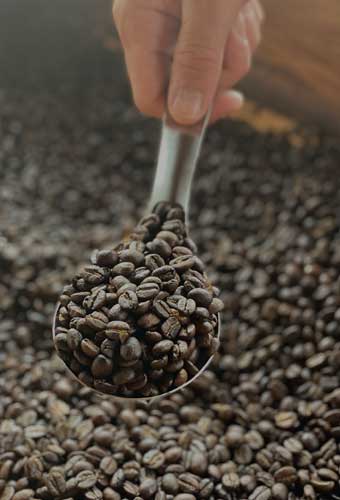 organic-coffee-farm-tour-tanzania