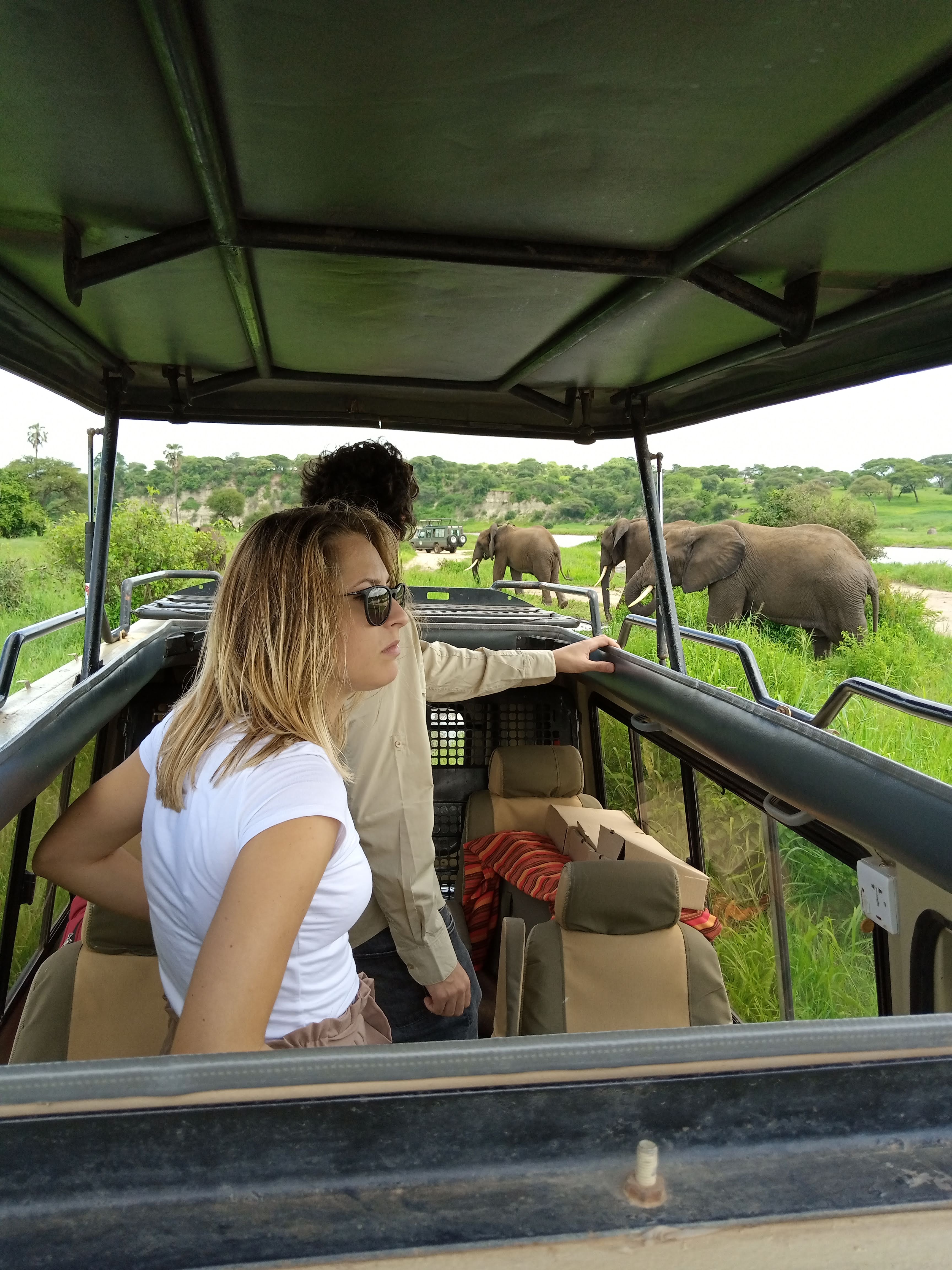 upclose-with-tanzania-wildlife